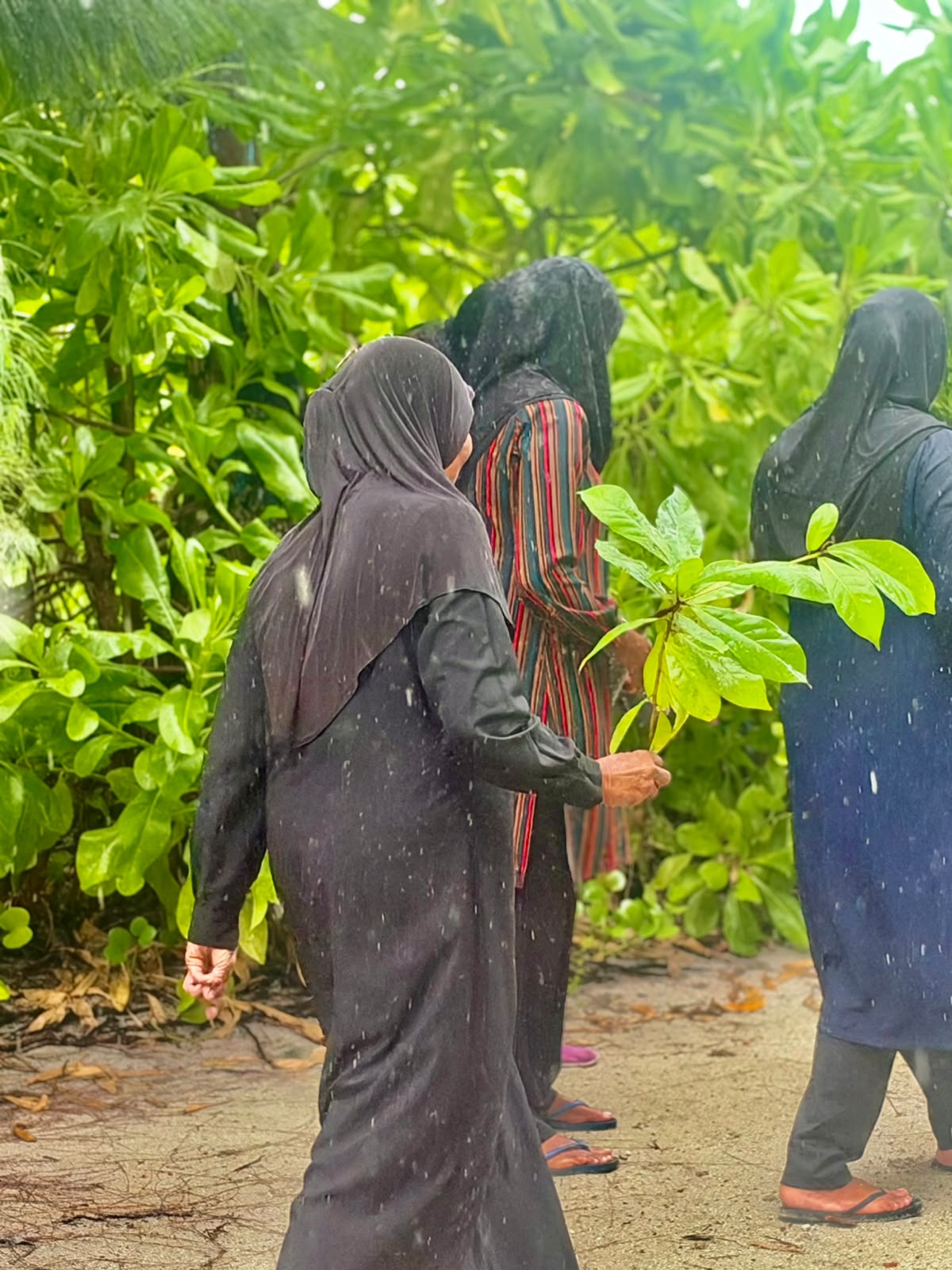 ދަނޑުވެރިންގެ ދުވަހާއި ގުޅިގެން ބޭއްވި ގަސްއިންދުމުގެ ޚަރަކާތް 2026 2