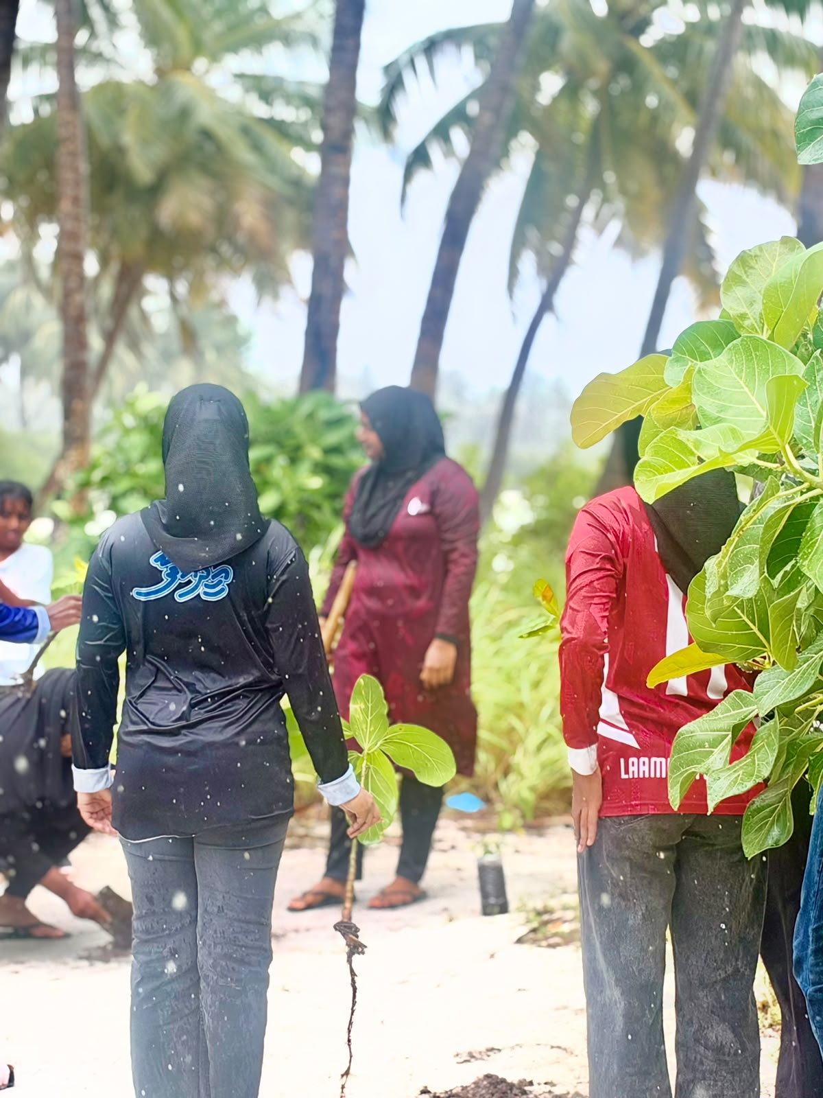 ދަނޑުވެރިންގެ ދުވަހާއި ގުޅިގެން ބޭއްވި ގަސްއިންދުމުގެ ޚަރަކާތް 2026 1