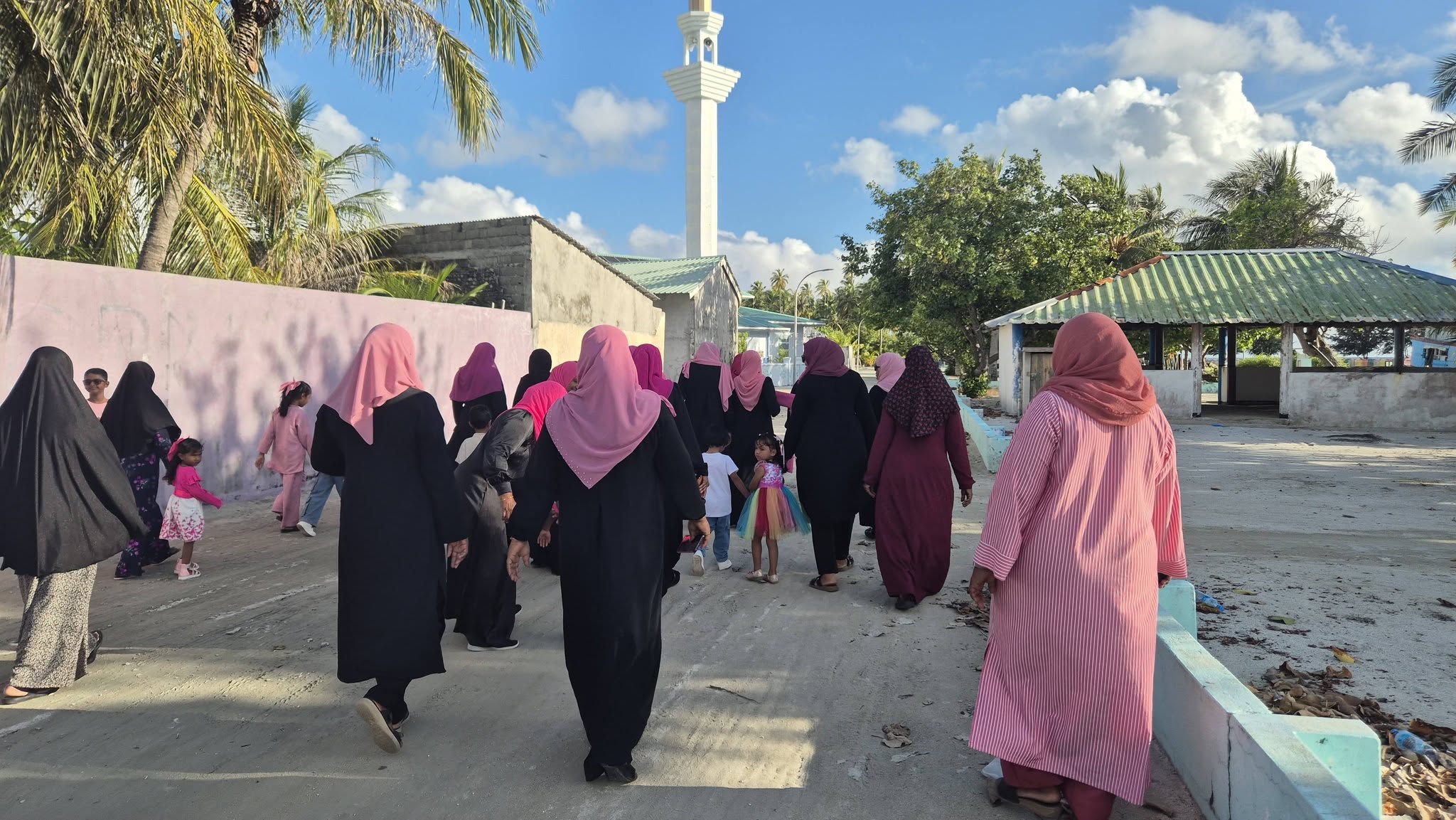 ޕިންކް ރިބަން ހިނގާލުން 2026 1