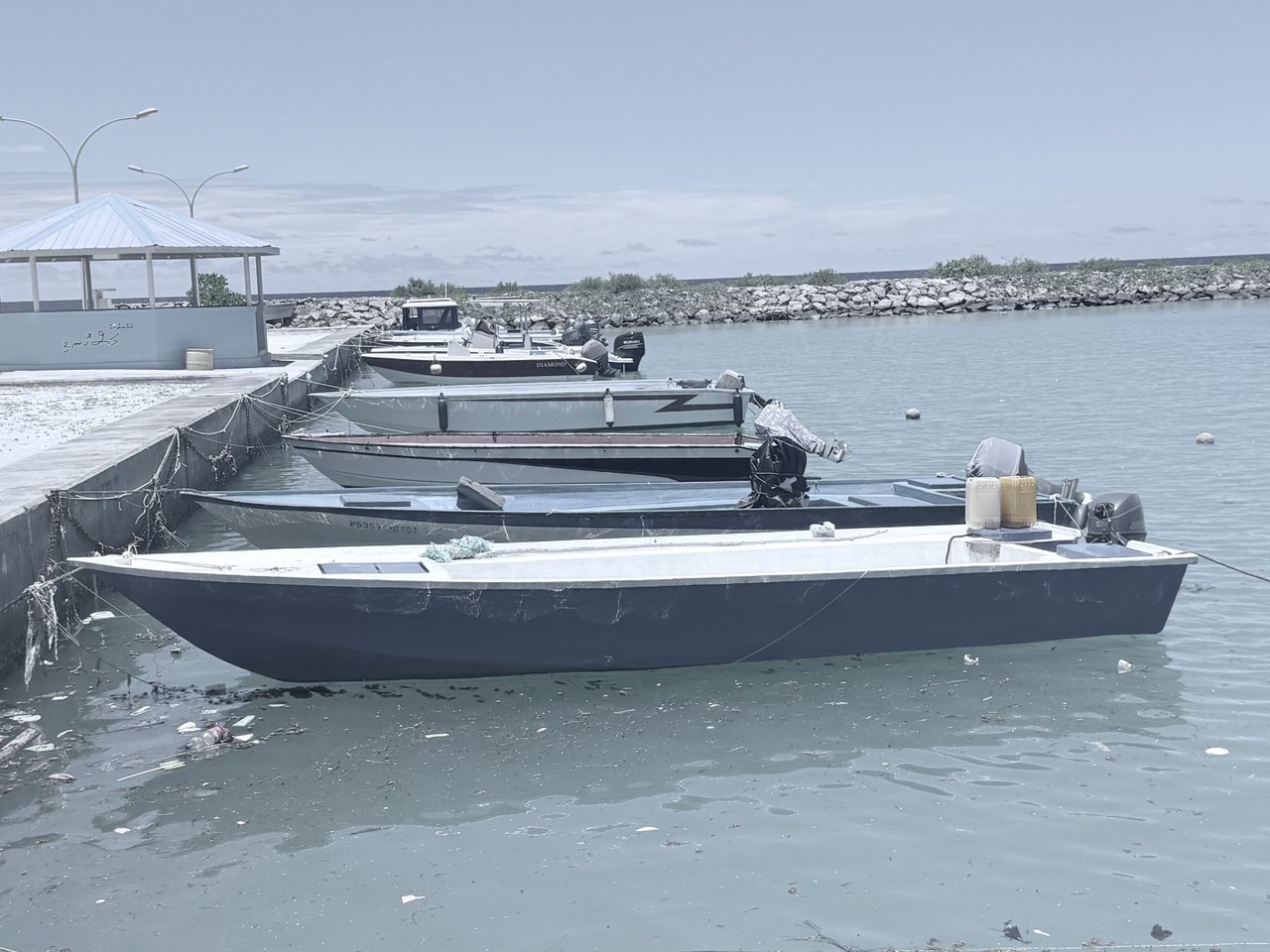 Harish -Dingy